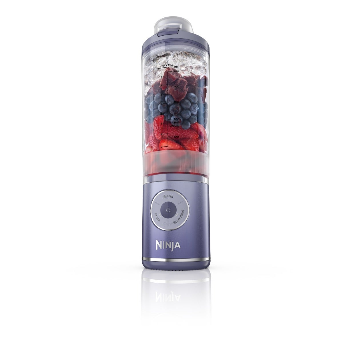 Ninja Blast Max Portable Blender 570ml lavander