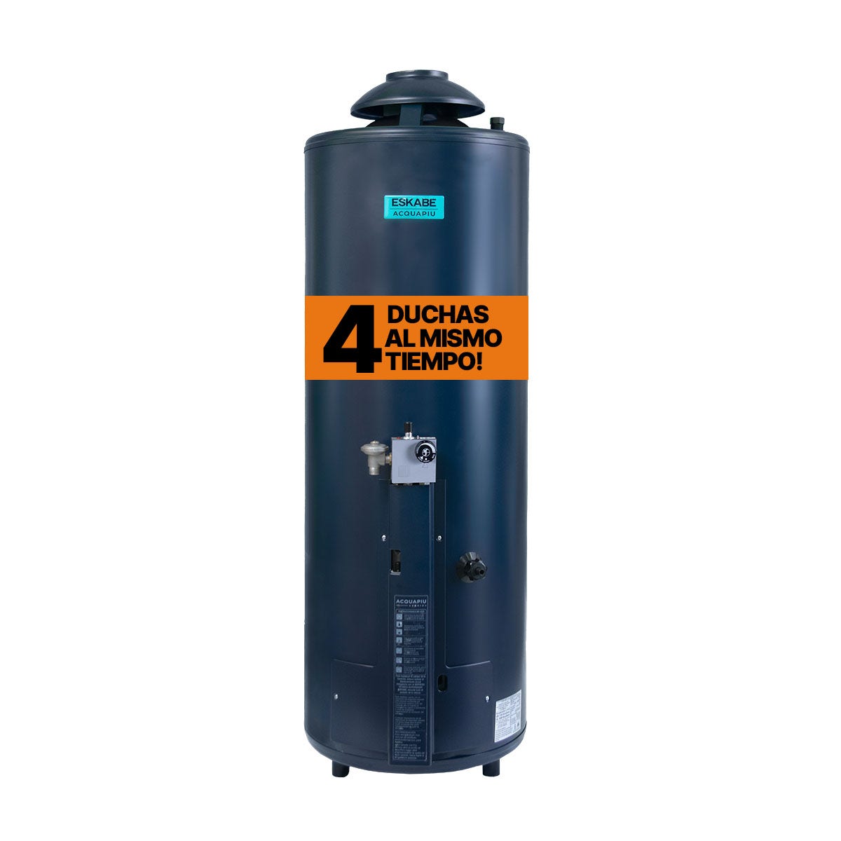 Termotanque multigas H1100 76 lt