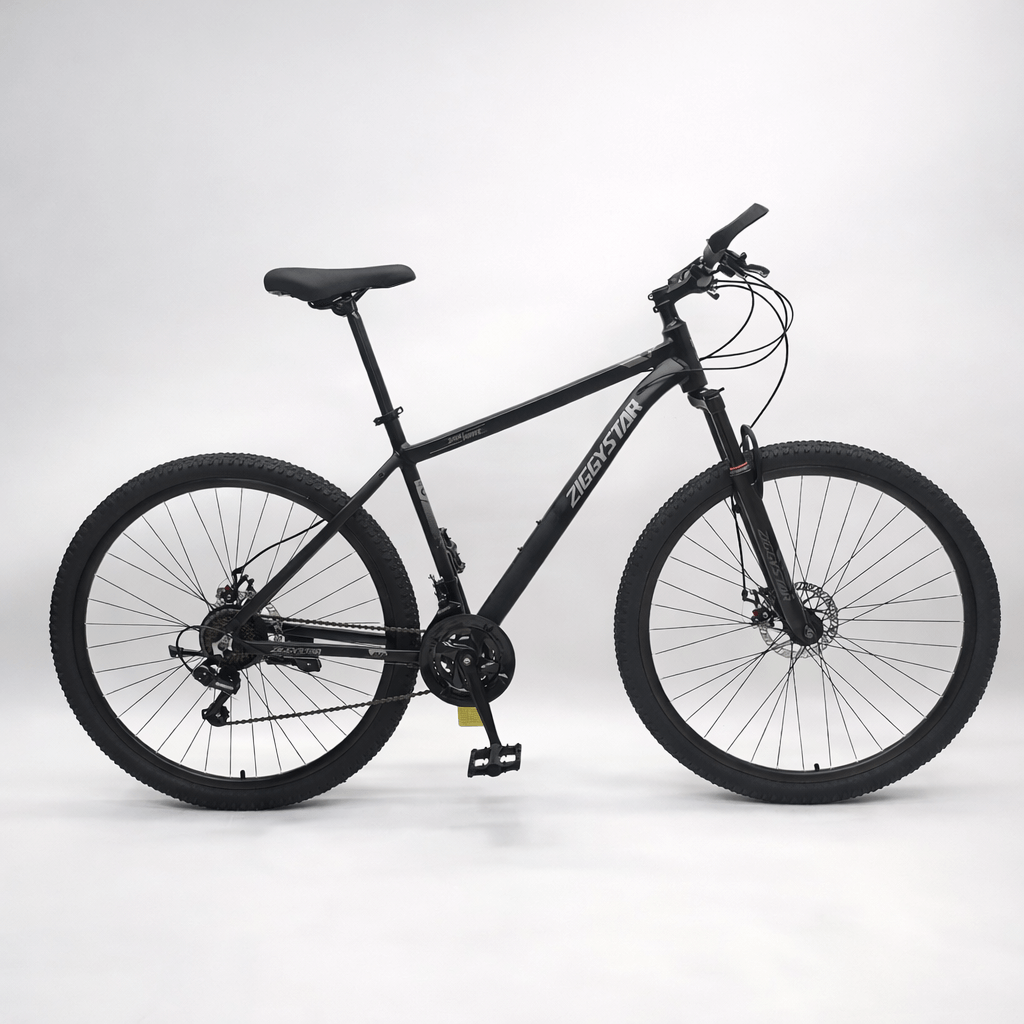 Bicicleta ZIGGYSTAR R29 Aluminio Negro